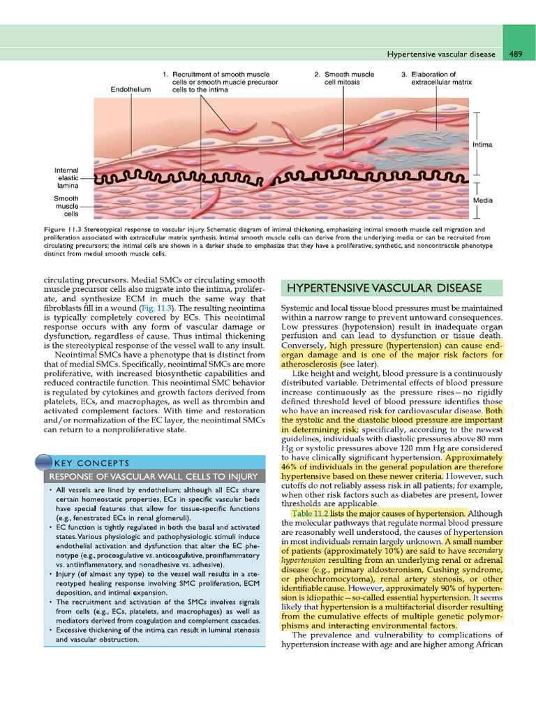 Understanding Hypertension Mechanisms | PDF | Angiotensin | Hypertension