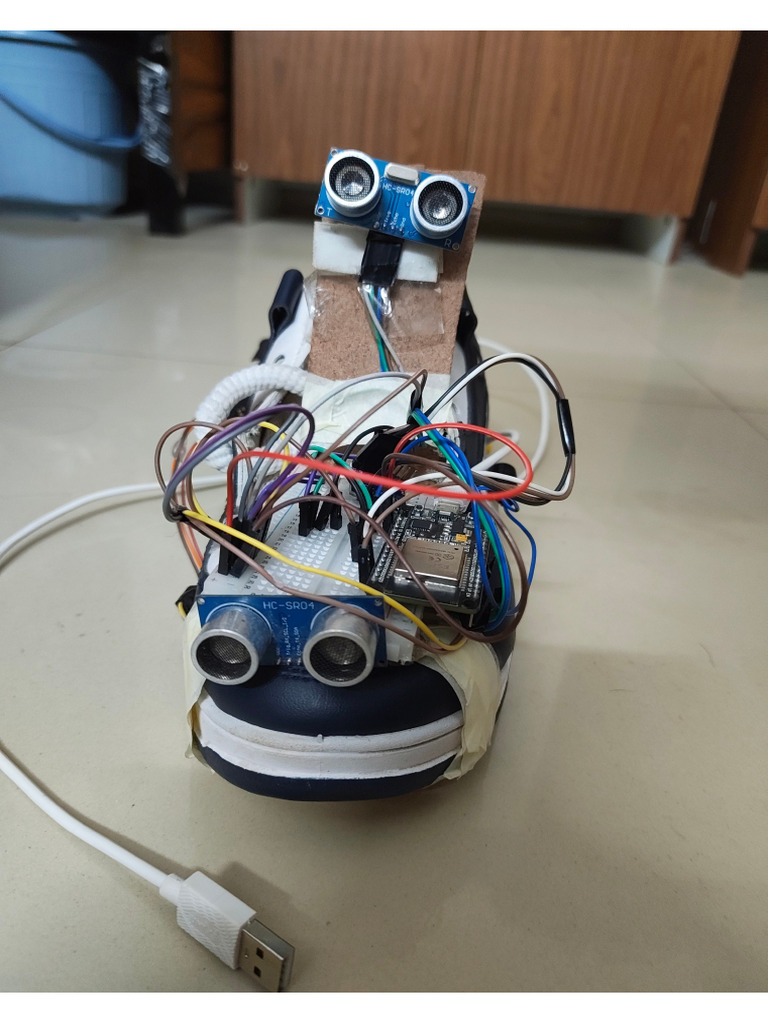 Smart Shoe | PDF