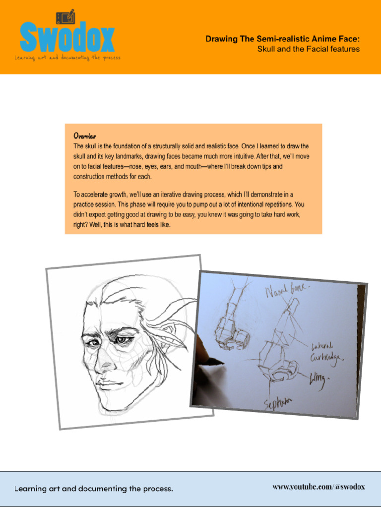 Anatomy Drawing Assignments Guide | PDF | Tooth | Human Nose