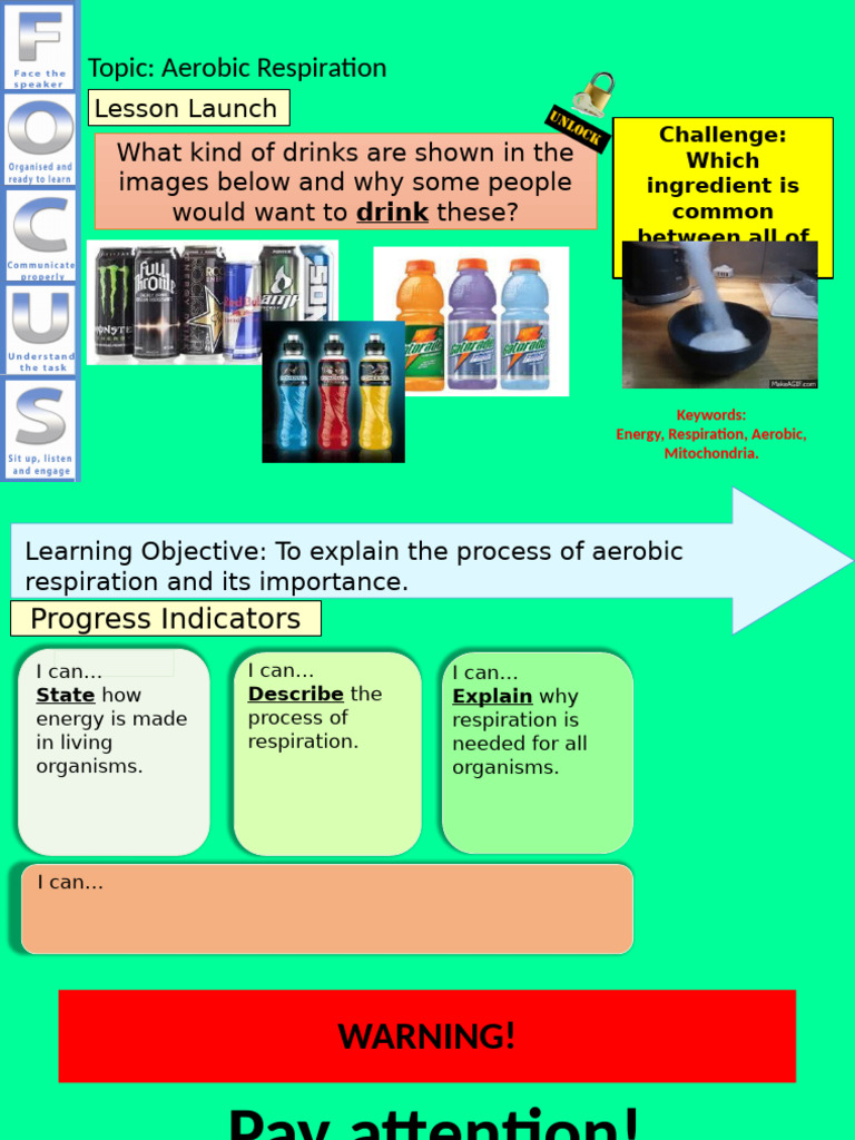 Understanding Aerobic Respiration Process | PDF | Cellular Respiration ...
