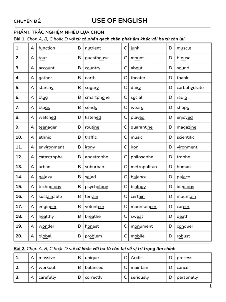 English Usage Practice Exercises | PDF | Pet | Adolescence