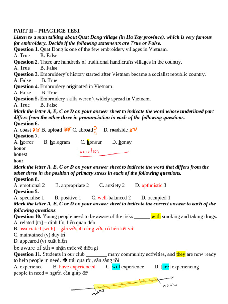 Quat Dong Village Embroidery Practice Test | PDF | Sleep