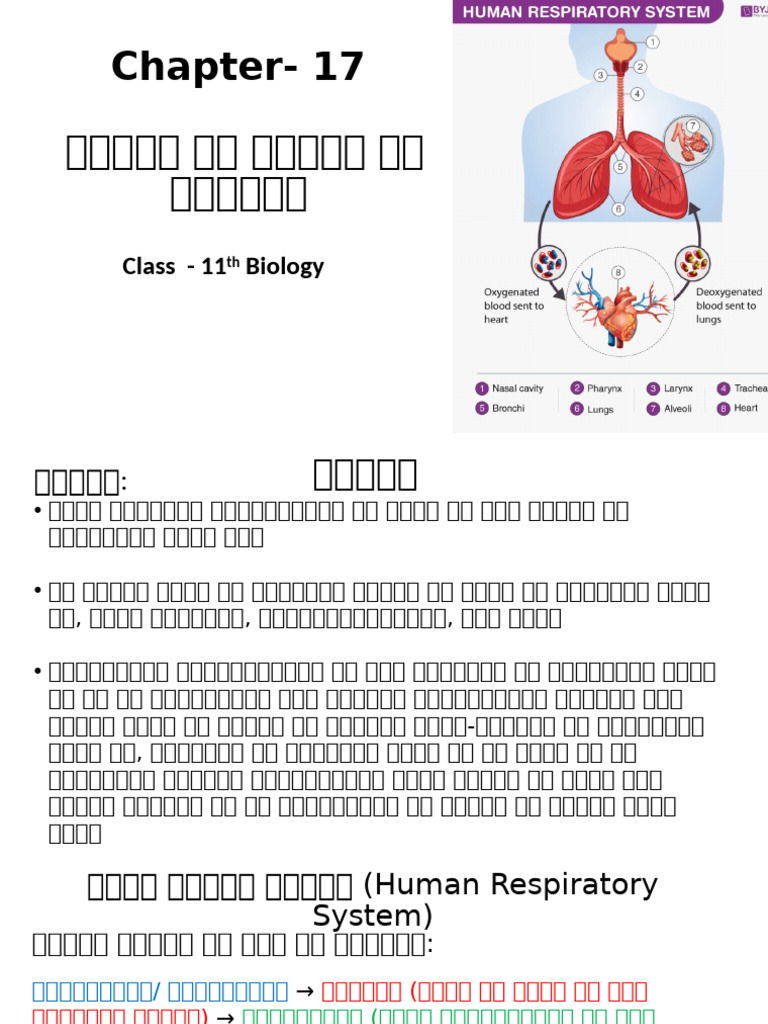 Chapter 17 - Class 11 | PDF