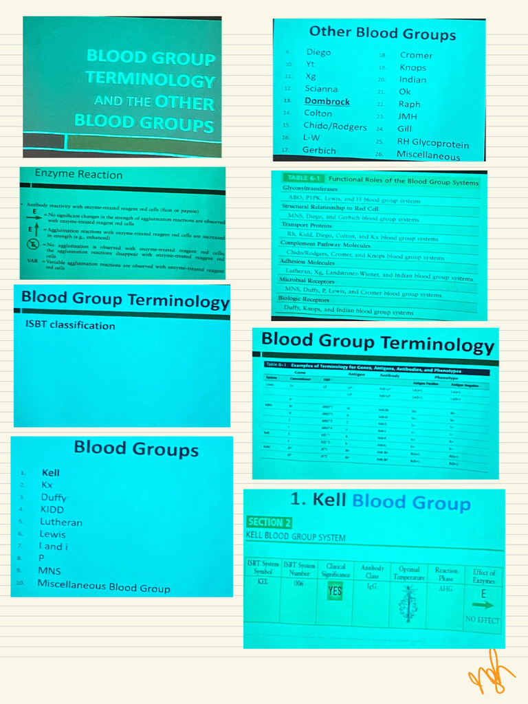 ISBB LEC - Blood Group Terminology and Other Blood Groups | PDF