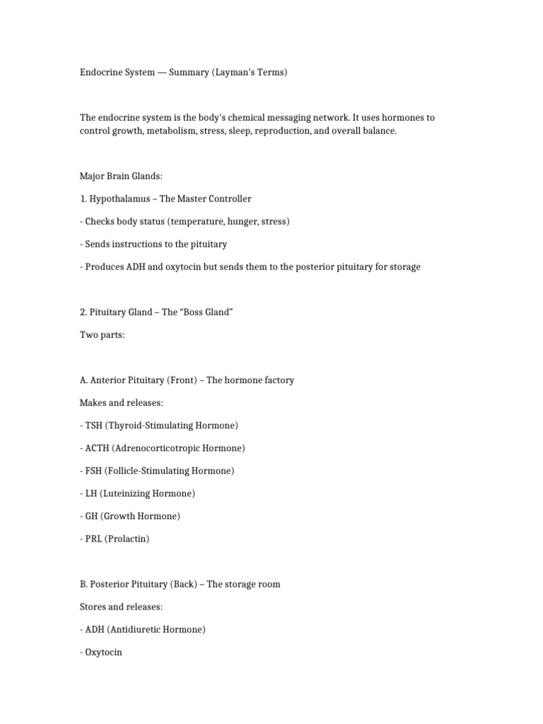Endocrine System Summary | PDF
