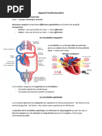 Vascularisation du Cœur et Artères | PDF | Aorte | Organe