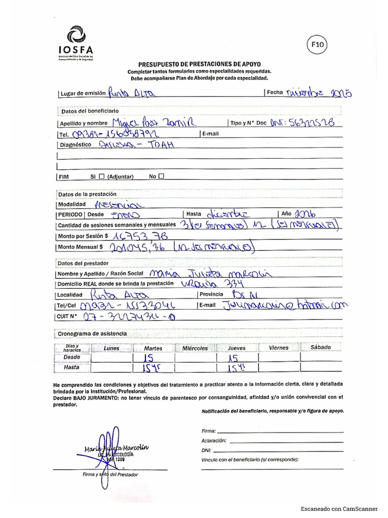 Formulario 10 | PDF