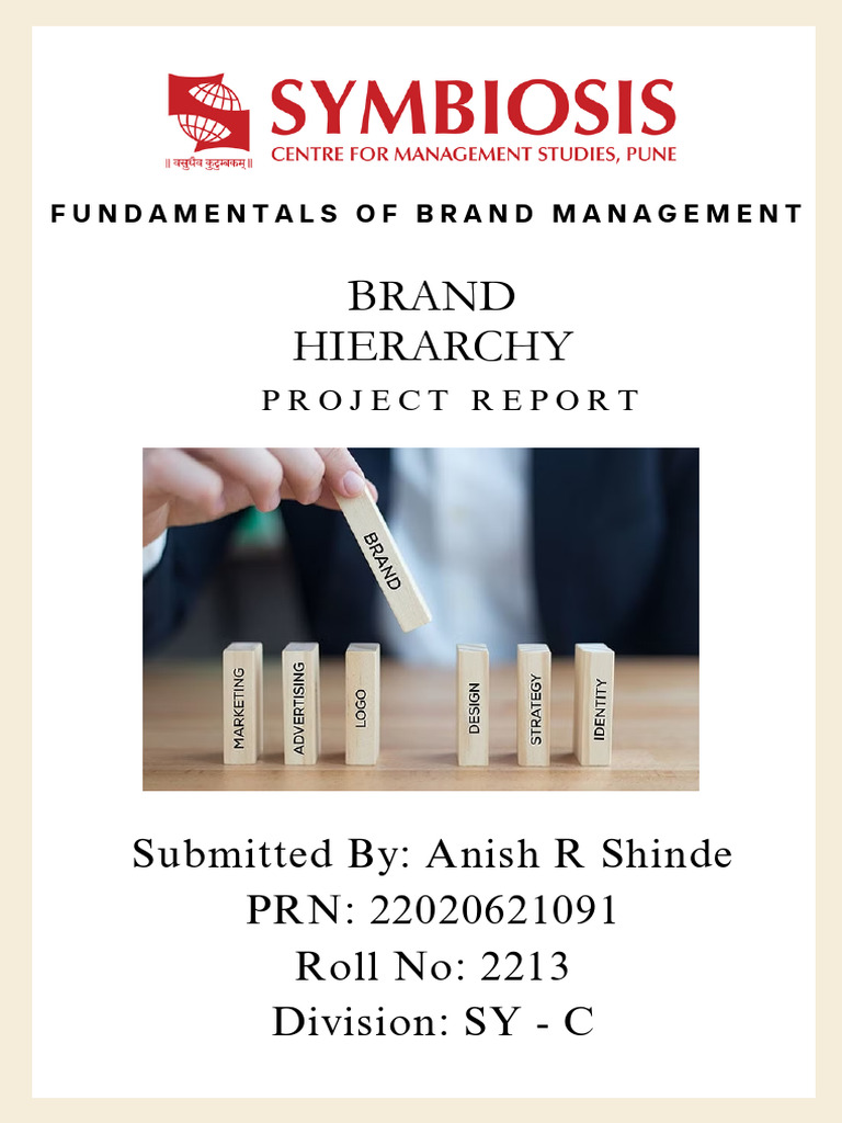 Brand Hierarchy Report | PDF | Brand | Market Segmentation