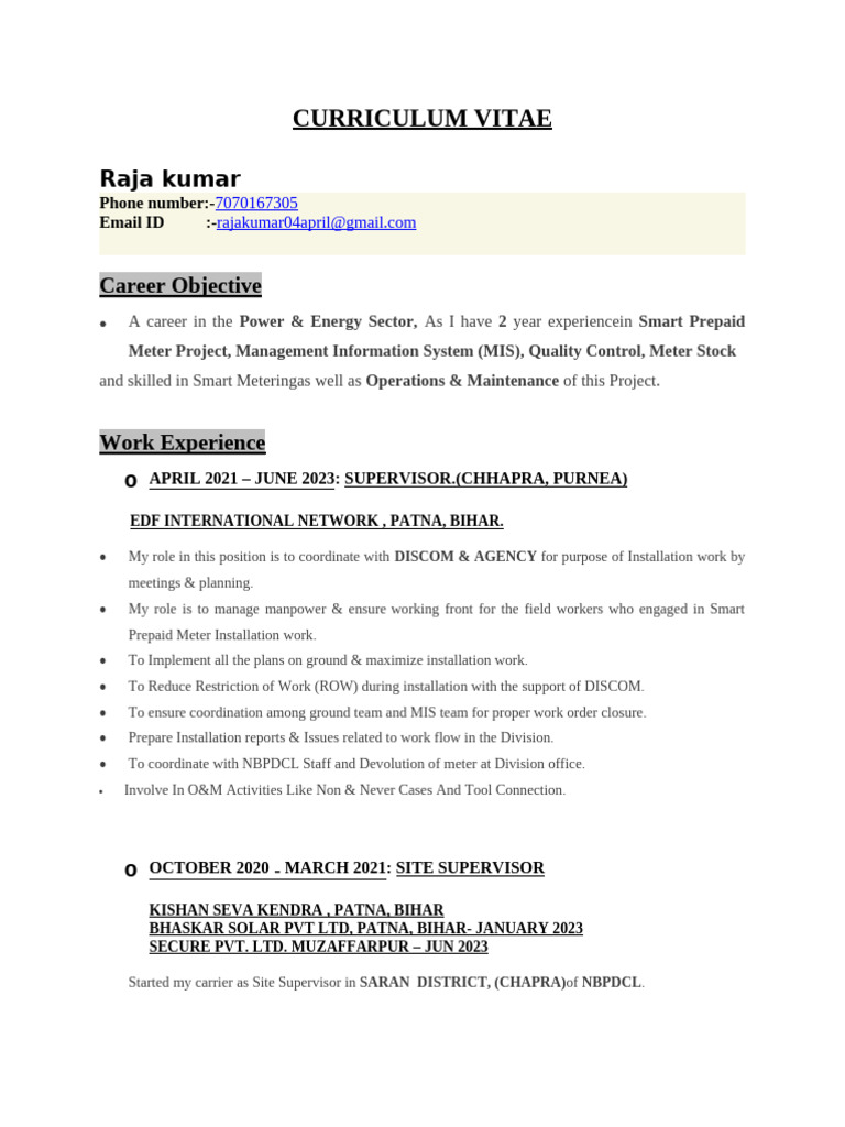 CV Raja-1 | PDF