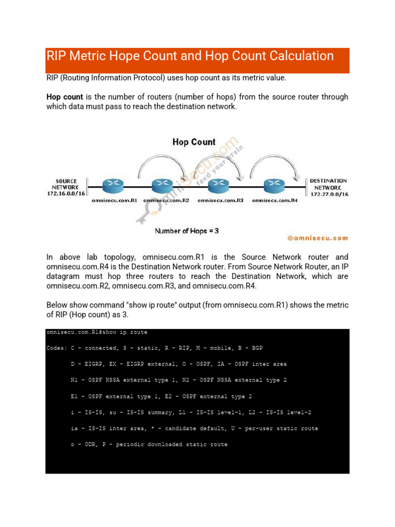 RIP Hop Count Calculation Explained | PDF