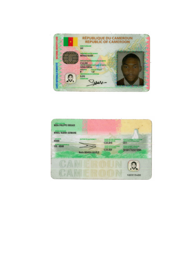 CNT | PDF