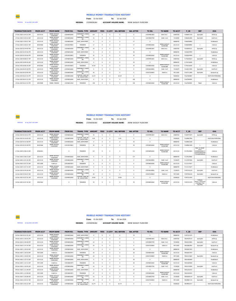 Momo Statement Report | PDF | Debit Card | Financial Technology