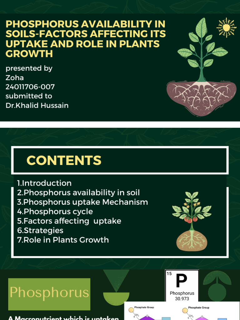 Phosphorus in Soil: Uptake & Plant Growth | PDF | Soil | Phosphorus
