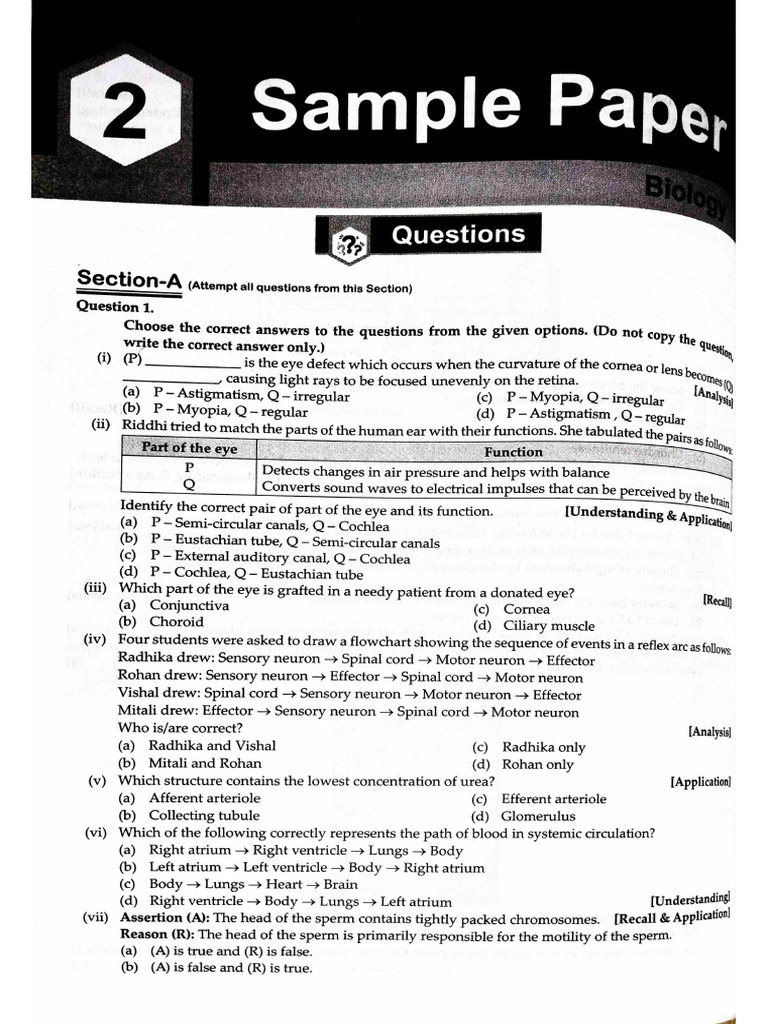 Sample Paper | PDF