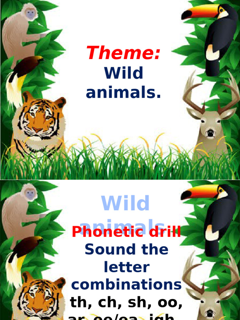 Wild Animals Phonetic Drill Guide | PDF