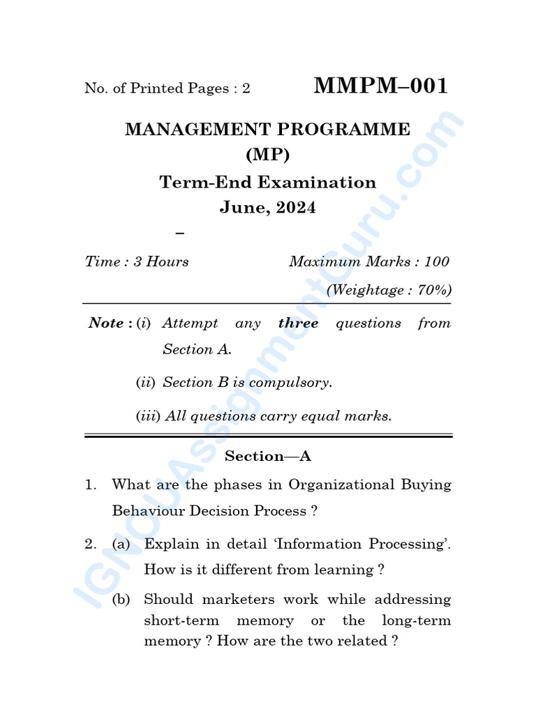 Consumer Behavior Exam Guide 2024 | PDF