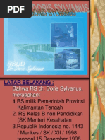 Download Profil Pelayanan RSUD dr Doris Sylvanus 2011  by Sugi Cahyanto SN97510373 doc pdf