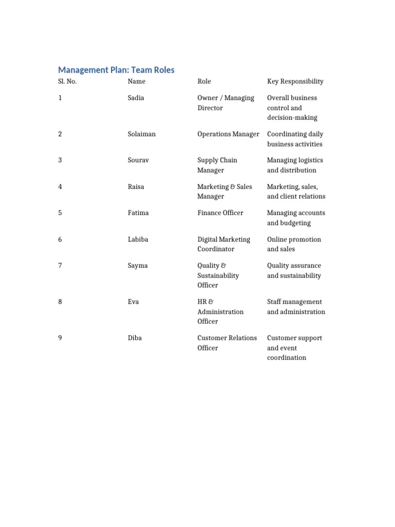 Team Roles in Management Plan | PDF