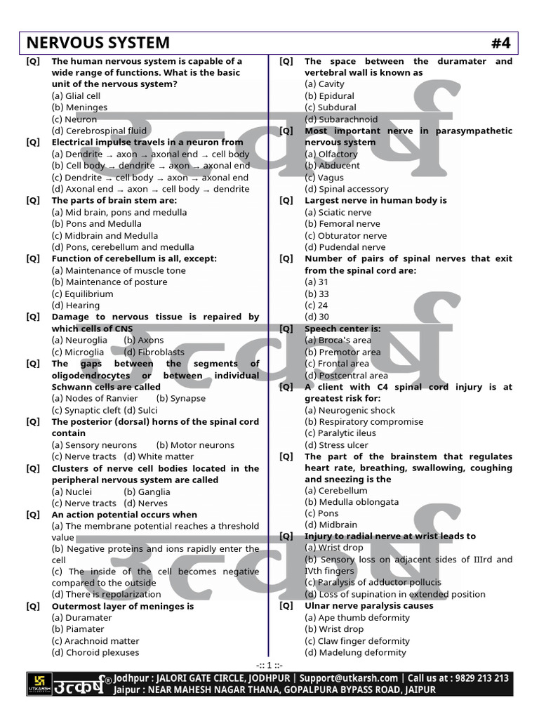 Nervous System #4 | PDF | Spinal Cord | Cerebrospinal Fluid