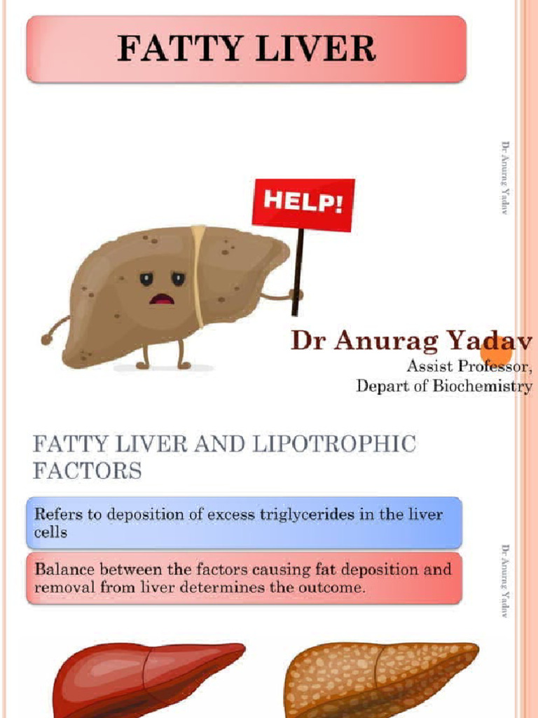 Everything You Need To Know About Fatty Liver - 20240429 - 202005 | PDF