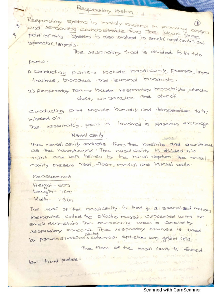 Respiratory | PDF