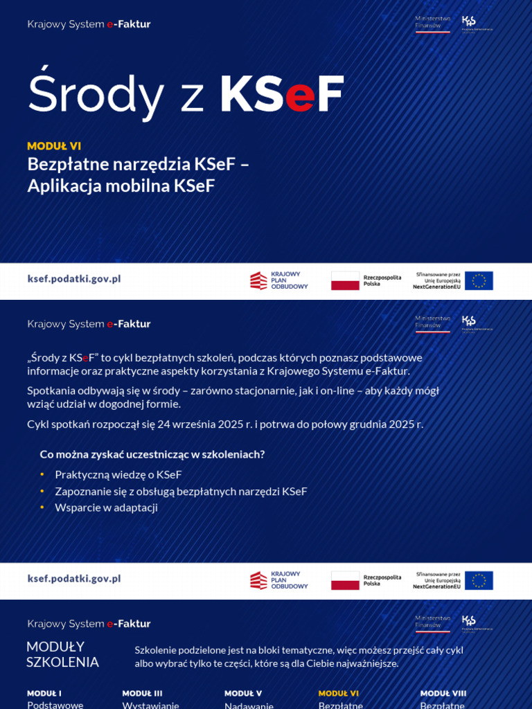 Srody Z Ksef Modul Vi Aplikacja Mobilna Ksef | PDF