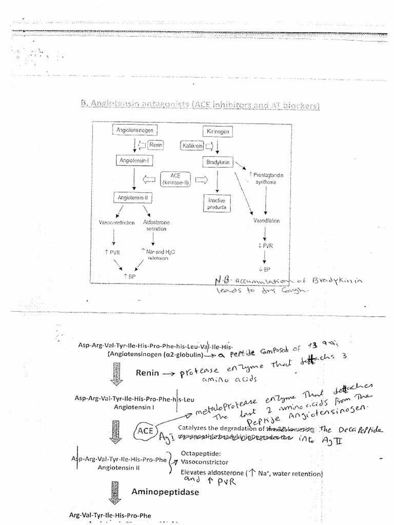 Scan 140920 Ceutical Lec. 3 | PDF