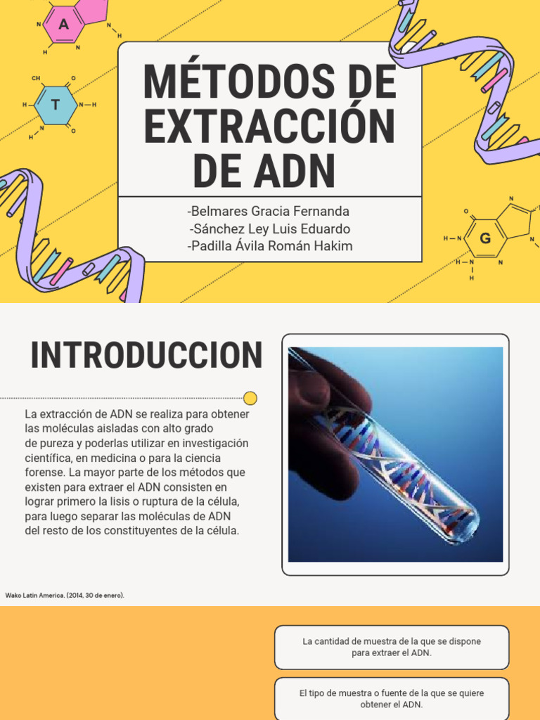 Métodos de Extracción Del Adn _251201_180435 | PDF | Adn | Biología