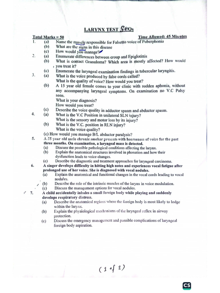 ENT All Terms MBBS'26 FMU@Dr.k. | PDF