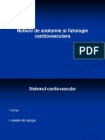 Notiuni de Anatomie