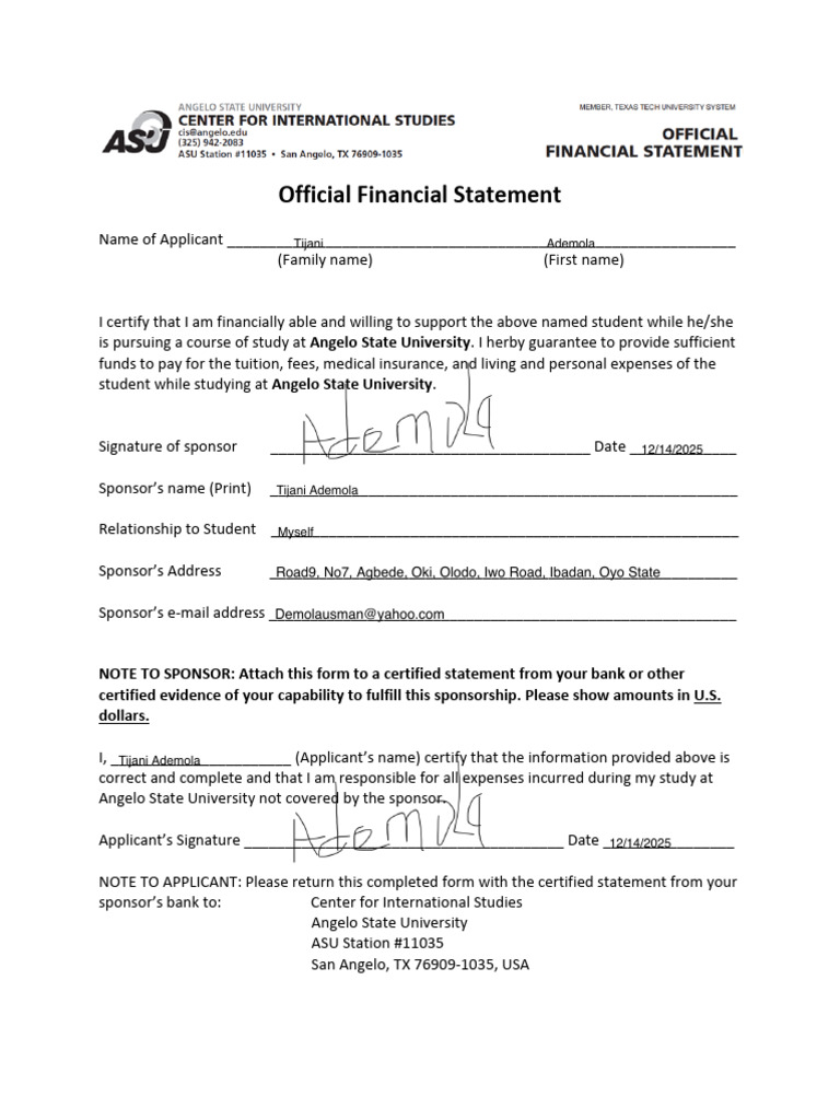 Official Financial Statement | PDF