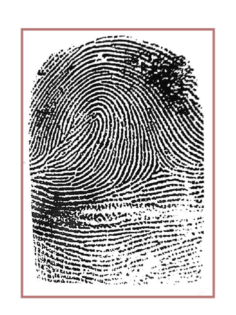 Practica de Dactiloscopia I | PDF