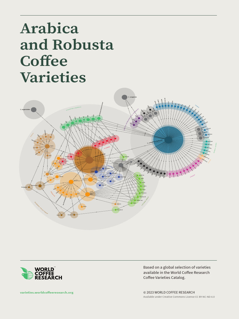 Digital Version Coffee Varieties Poster 24x36 WCR | PDF | Coffee