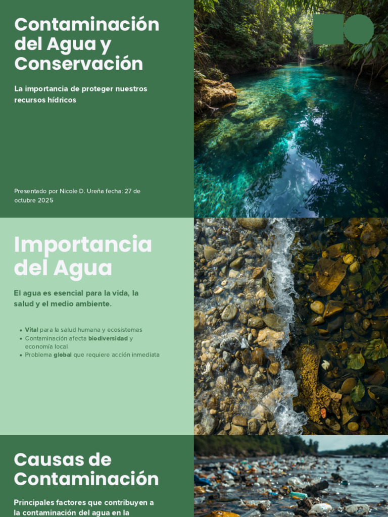 Contaminación del Agua en RD: Causas y Soluciones | PDF | Contaminación ...