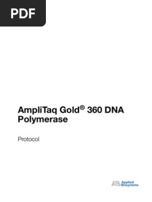 Amp_gold_360