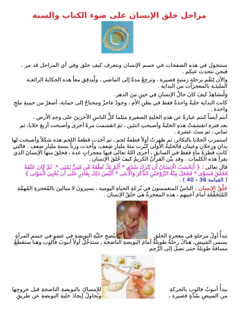 مراحل خلق الإنسان على ضوء الكتاب والسنة | PDF