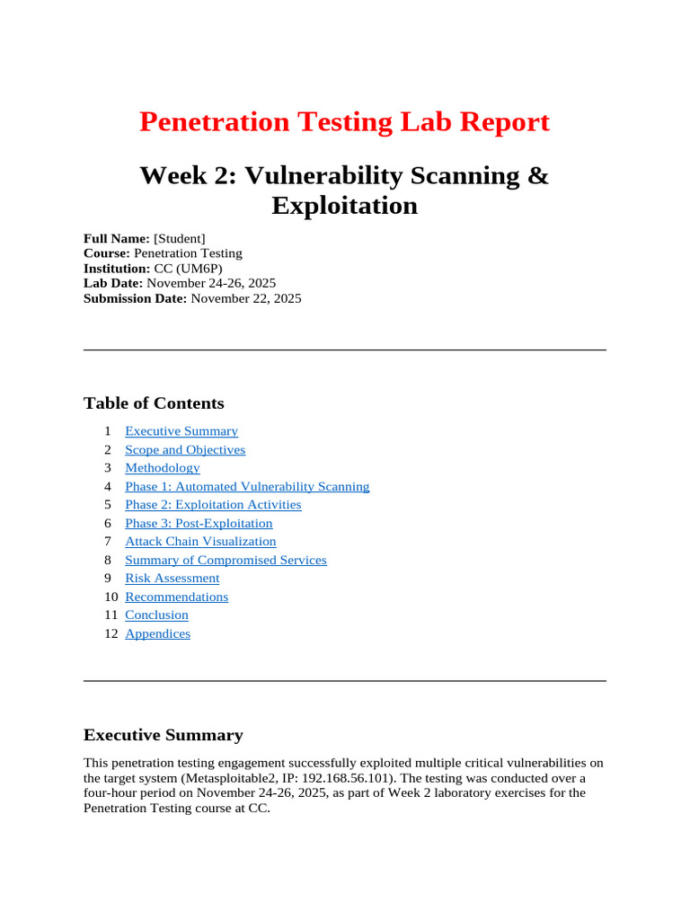Vulnerability Scanning & Exploitation Report | PDF | Penetration Test ...