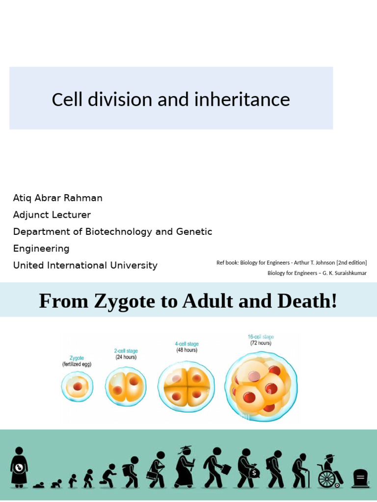 Cell Division and Genetic Inheritance | PDF | Meiosis | Mitosis