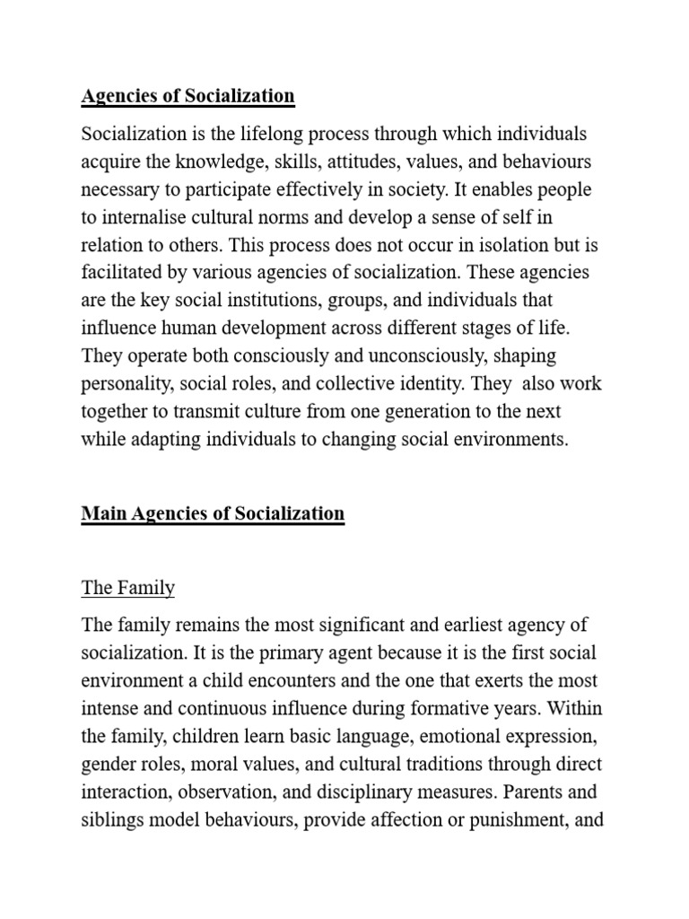 Key Agencies of Socialization Explained | PDF | Socialization ...