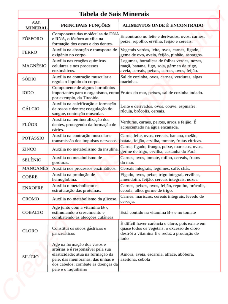 Funções e Fontes de Sais Minerais | PDF