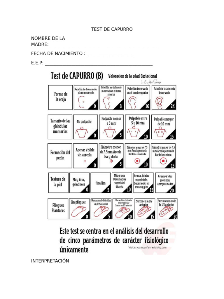 Capurro | PDF