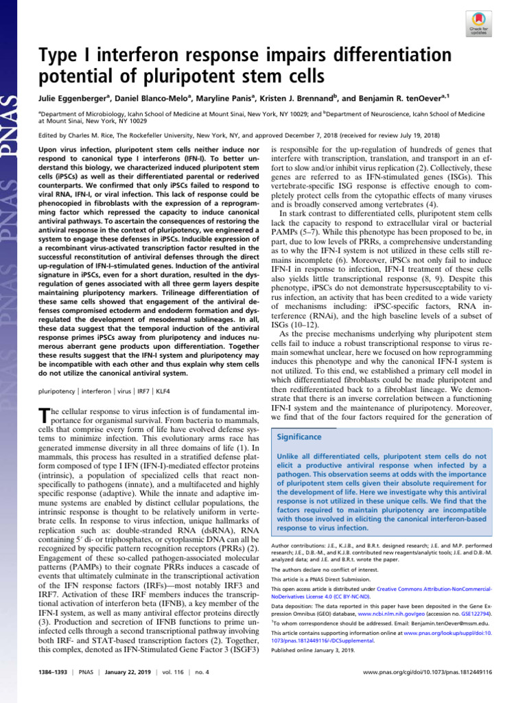 Type I Interferon Response Impairs Differentiationpotential of ...