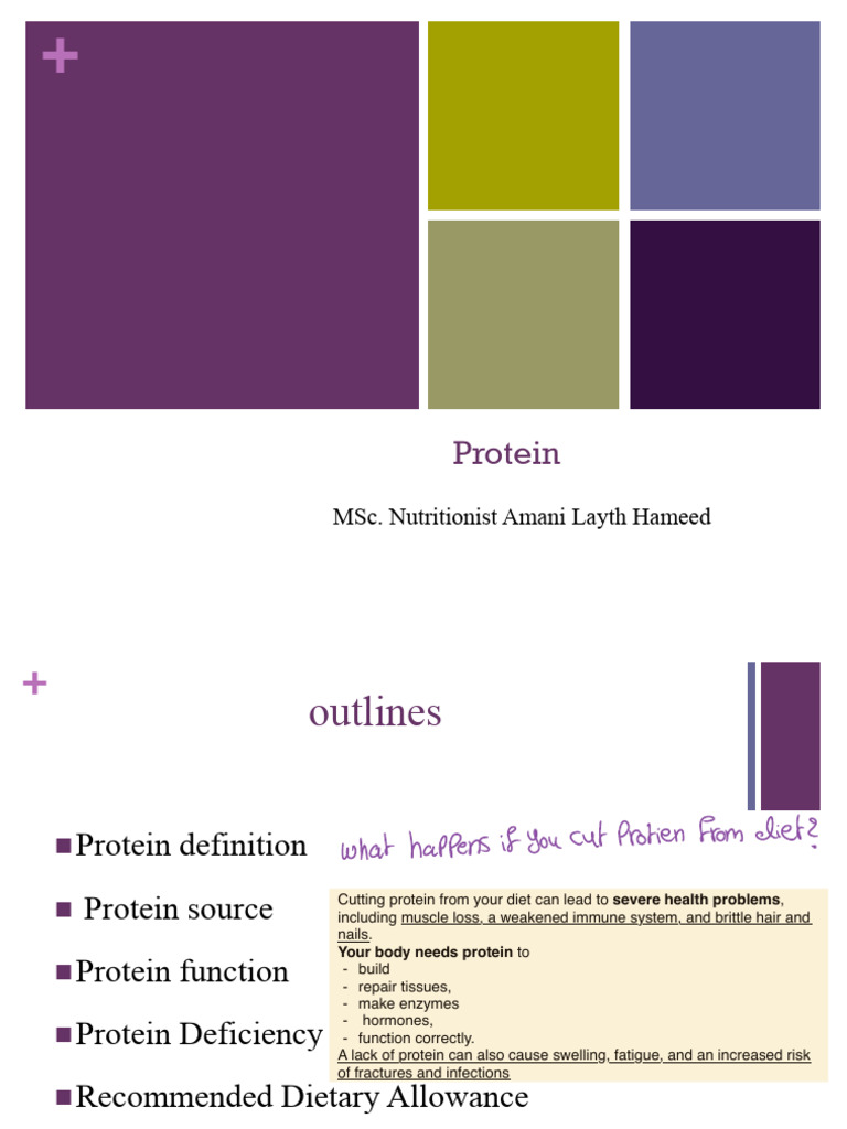 Understanding Protein: Functions & Needs | PDF | Proteins | Messenger Rna