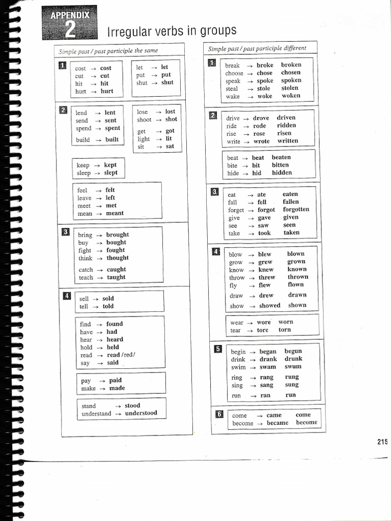 Irregular Verbs: Past Forms Guide | PDF