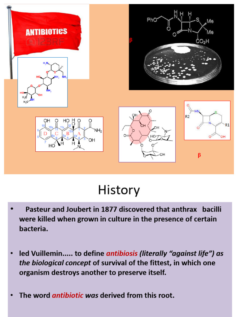 Overview of β-Lactam Antibiotics | PDF | Penicillin | Ribosome
