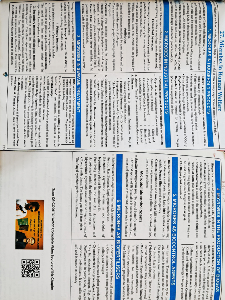Ncert Short Notes | PDF