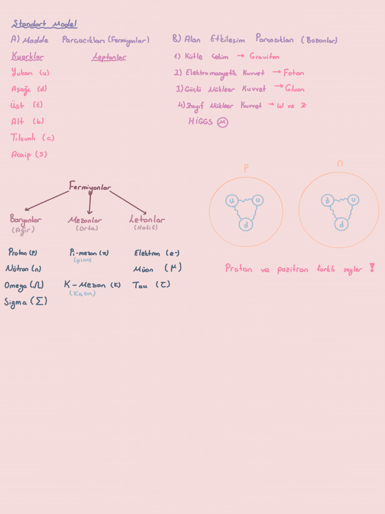 Standart Model | PDF