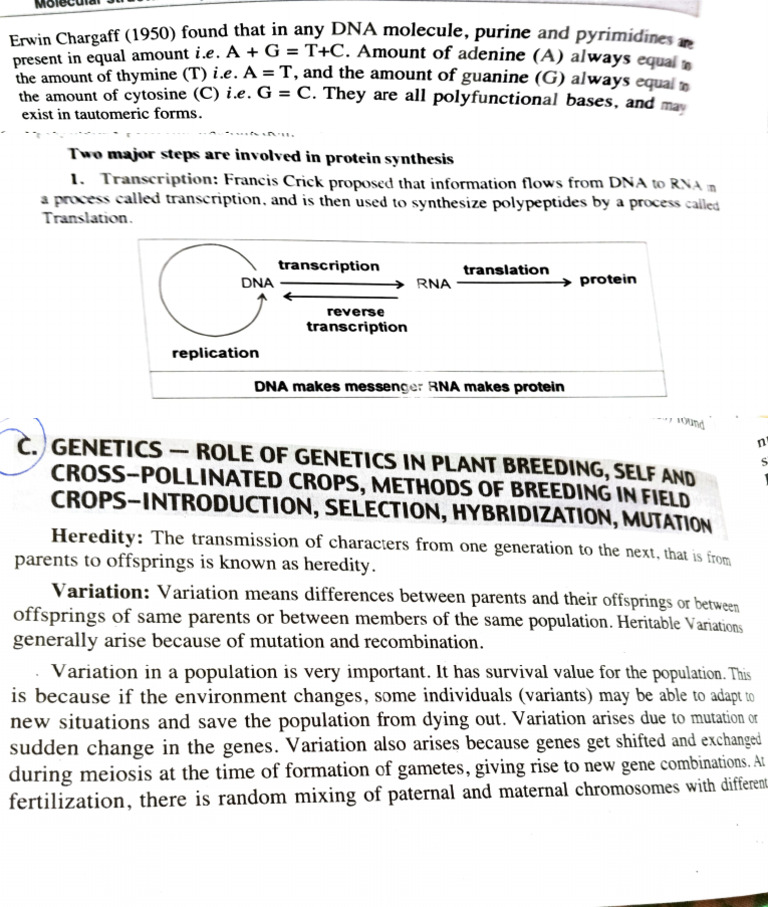 Genetics | PDF