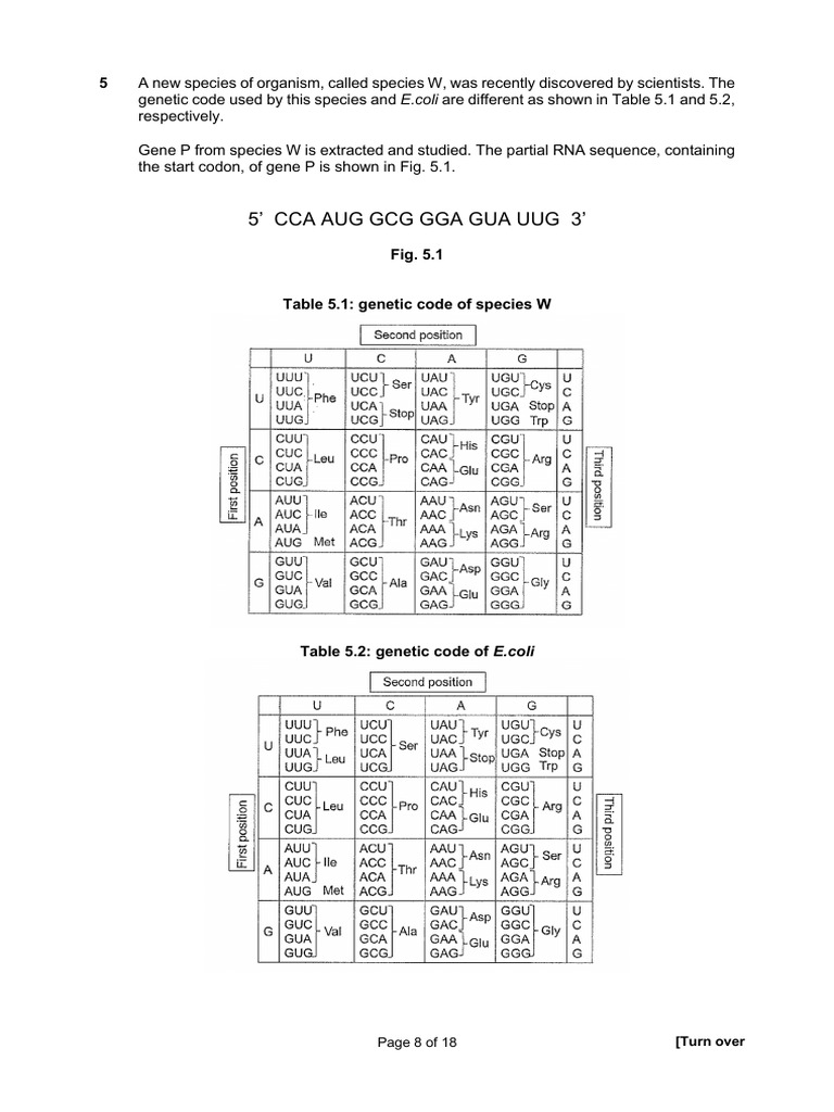 2022 Sec 3 Biotech EOY P2 (Final) Copy 5 | PDF