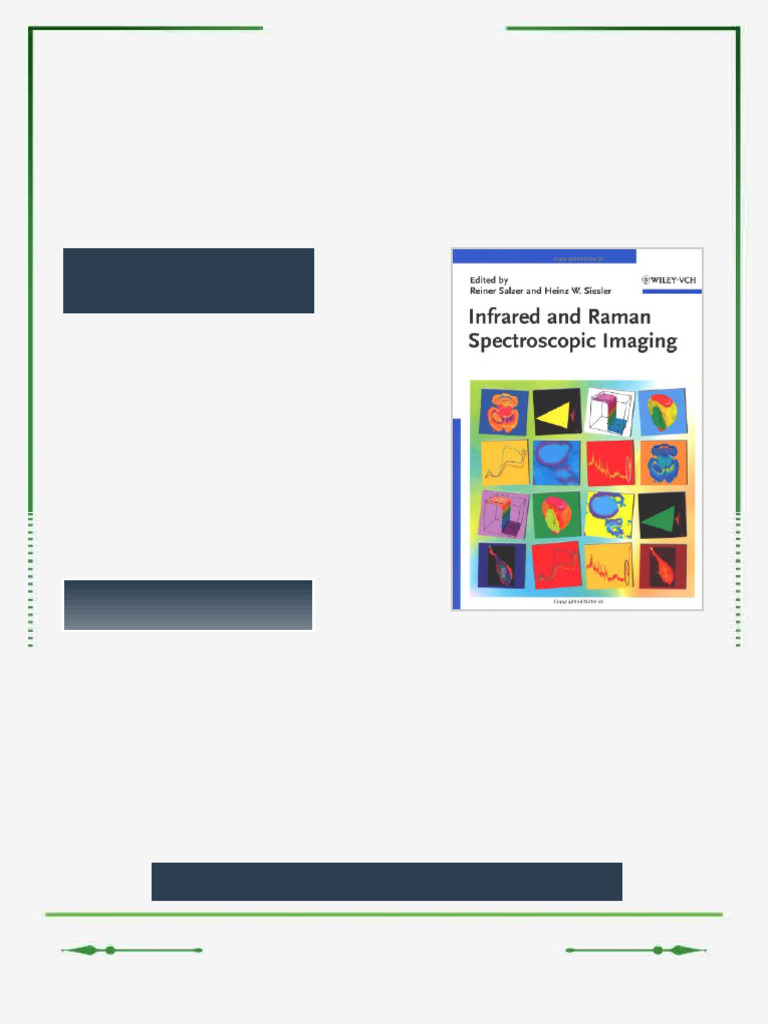Infrared and Raman Spectroscopic Imaging First Edition Reiner Salzer ...
